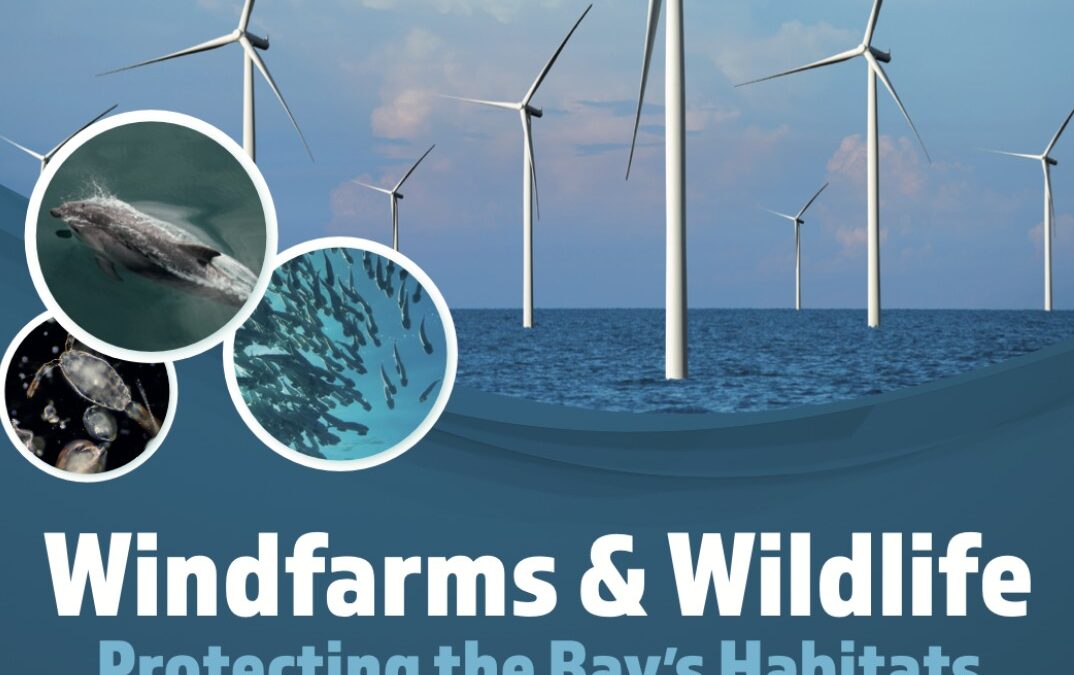Windfarms & Wildlife Presentation –standing room only at Fitzpatrick Castle Hotel